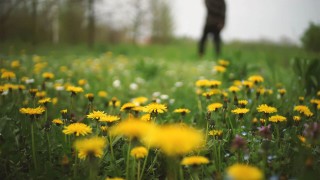 Éliminer les mauvaises herbes naturellement
