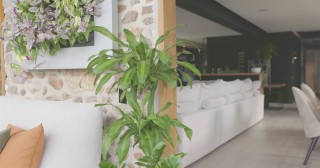 Chantier avec grue Coffrage LD